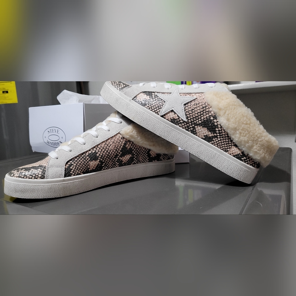 Steve Madden Polaris Sneaker (Women's)